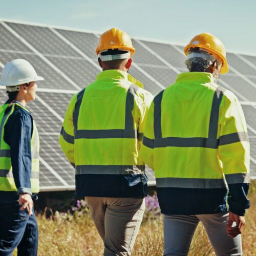 Financial Oversight for an Electrical Contracting Company